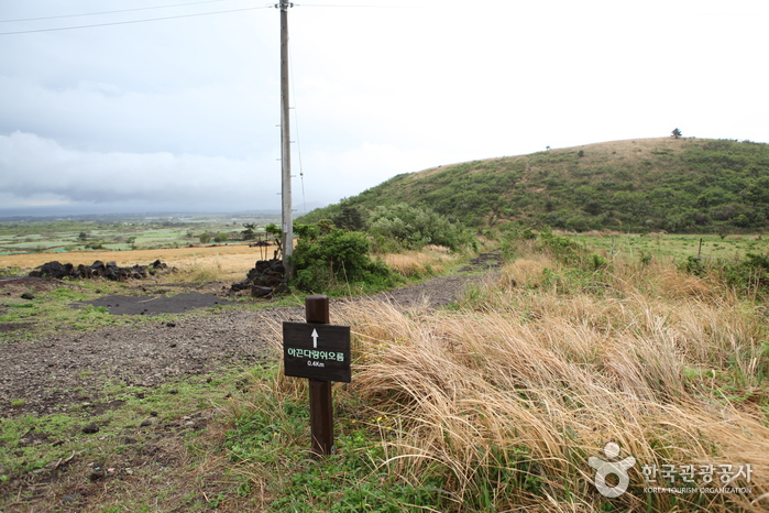 다랑쉬오름(월랑봉)