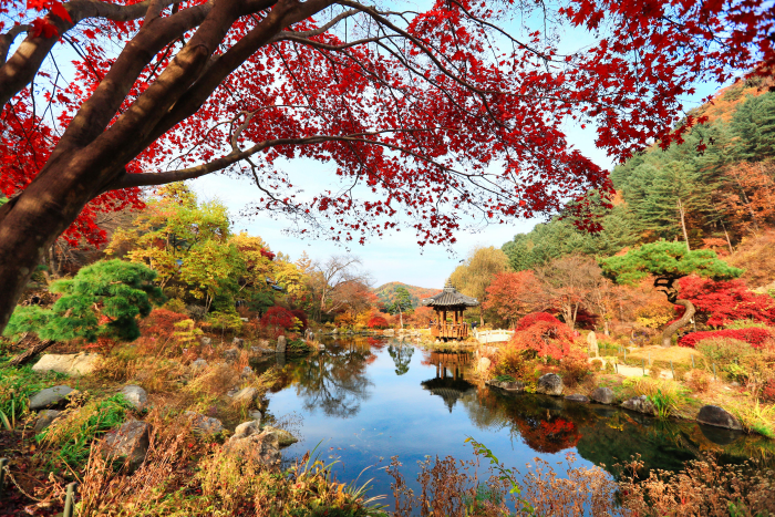 The Garden of Morning Calm, Gapyeong: