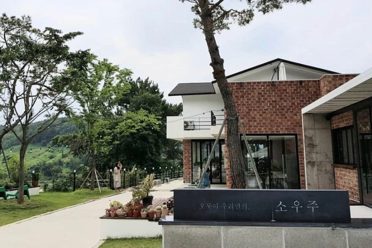 소우주