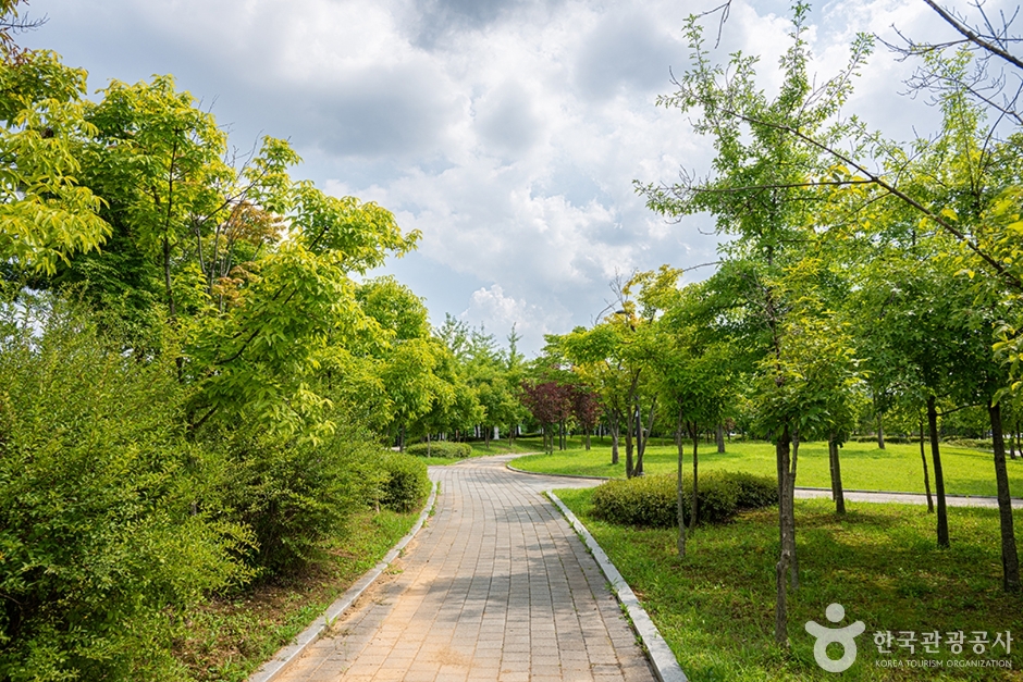 花井中央公園