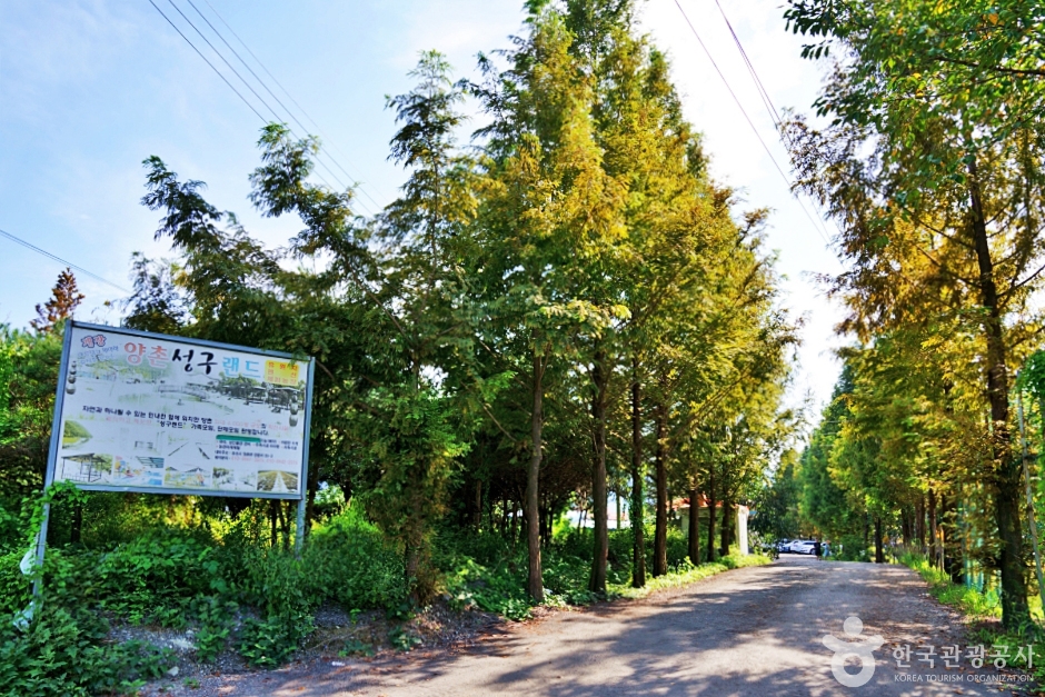 阳村 Seonggu 乐园