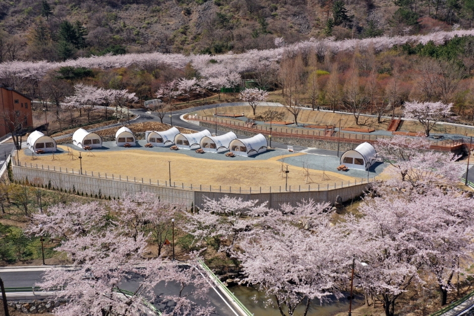 월아산 숲속의 진주