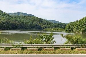 발랑저수지 사진 5