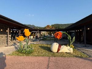 2025 안흥찐빵축제 1