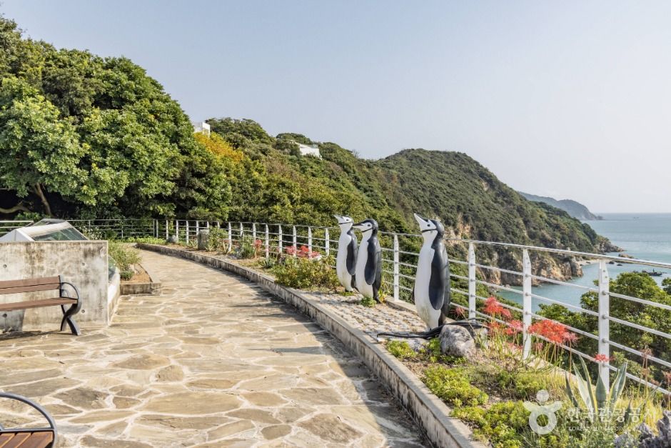 长沙岛海上公园 山茶花
