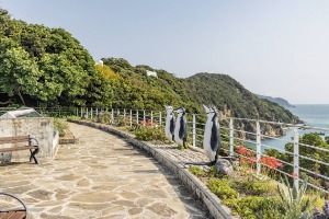 장사도해상공원 까멜리아