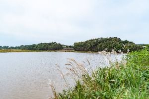 덕삼지 사진 4