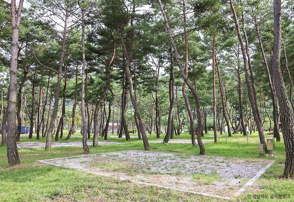 영주_ 영주호오토캠핑장 (4).jpg