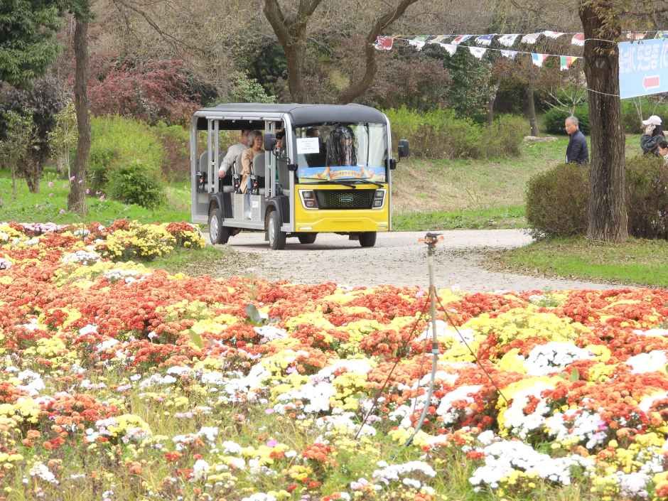 Koreanisches Chrysanthemenfestival (대한민국 국향대전)