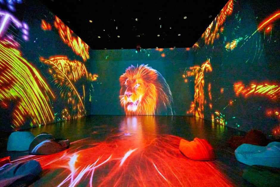 江陵メタバース体験館（강릉메타버스체험관）