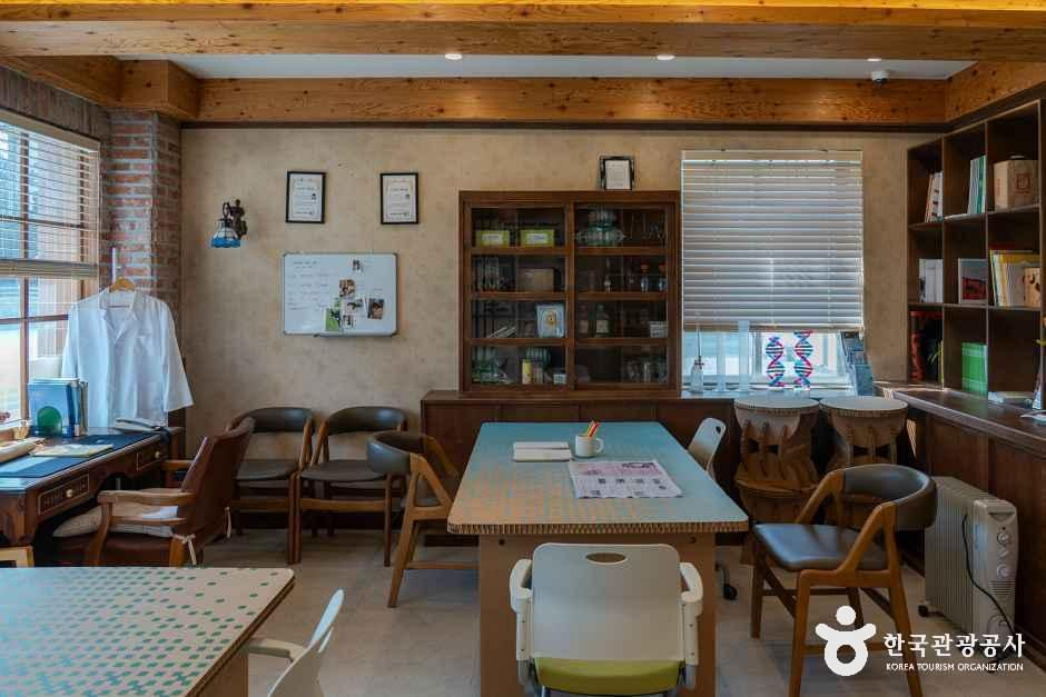 영월 트래블라운지