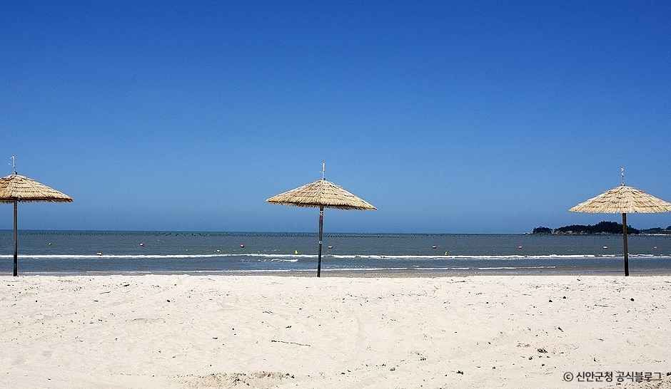 신안_[증도 모실길 1코스] 천년의 숲길 (3).jpg