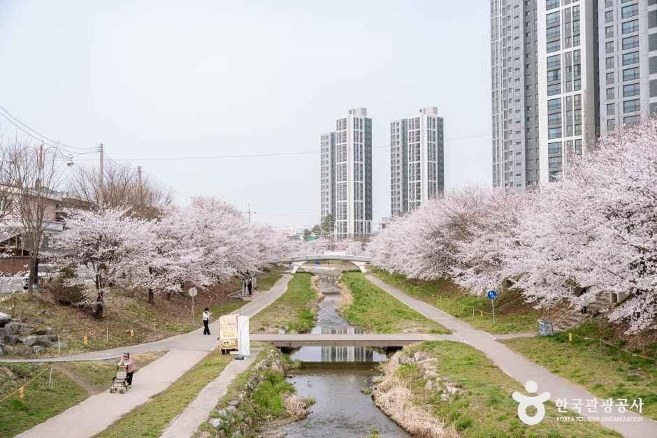 Wonseong Stream