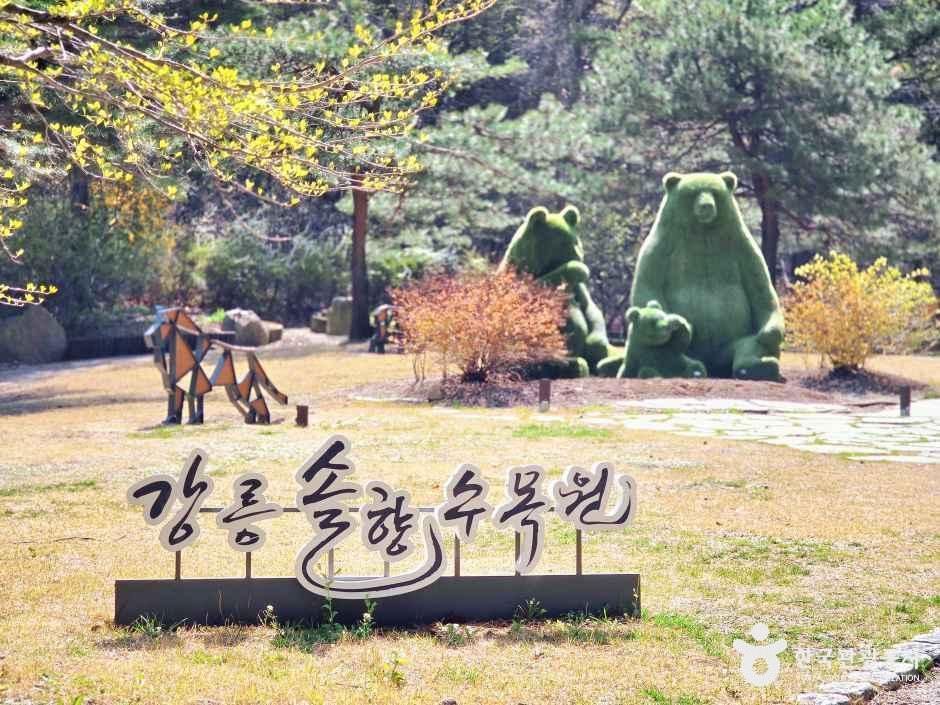 강릉 솔향수목원