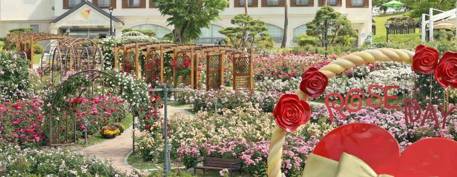 2026 임실N장미축제 2