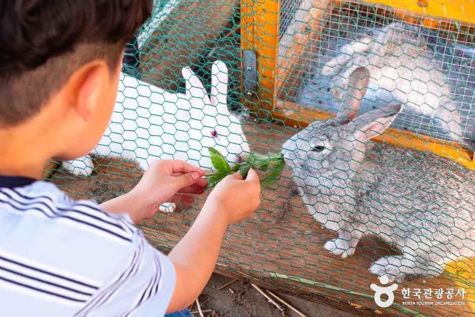 숨쉴꽃 허브 체험농장