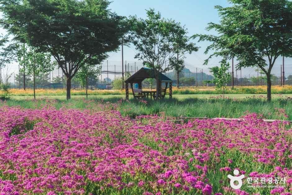 대산플라워랜드