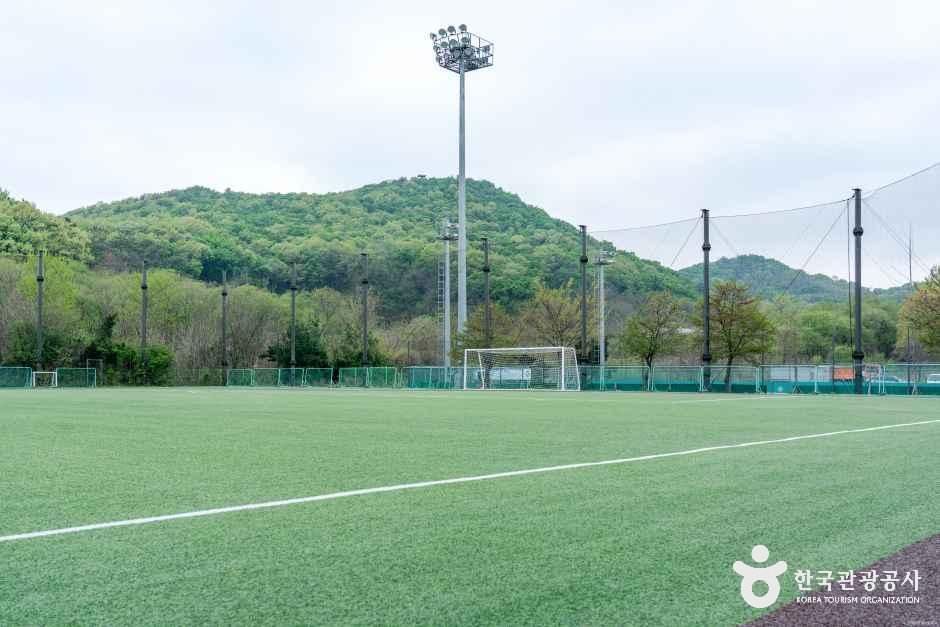 서조체육시설