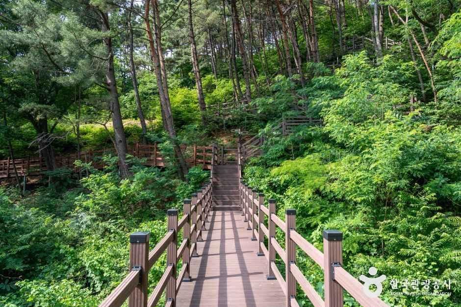 경산 치유의 숲