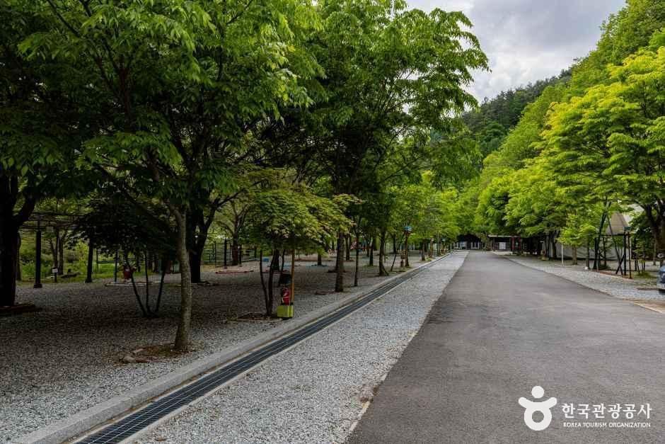 별수하캠핑장