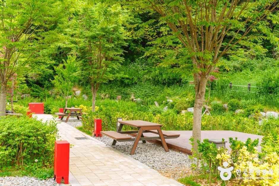 천왕산 가족캠핑장