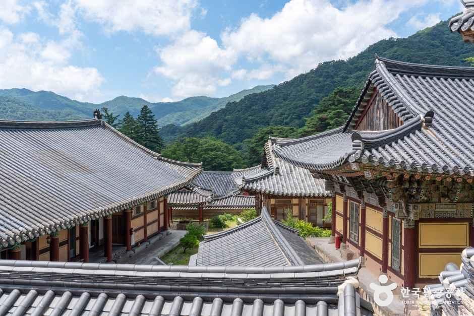 해인사(합천)
