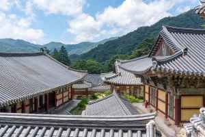 해인사(합천)