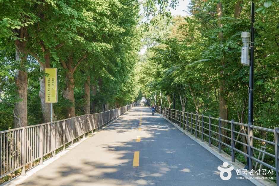 Songjeong Embankment Path