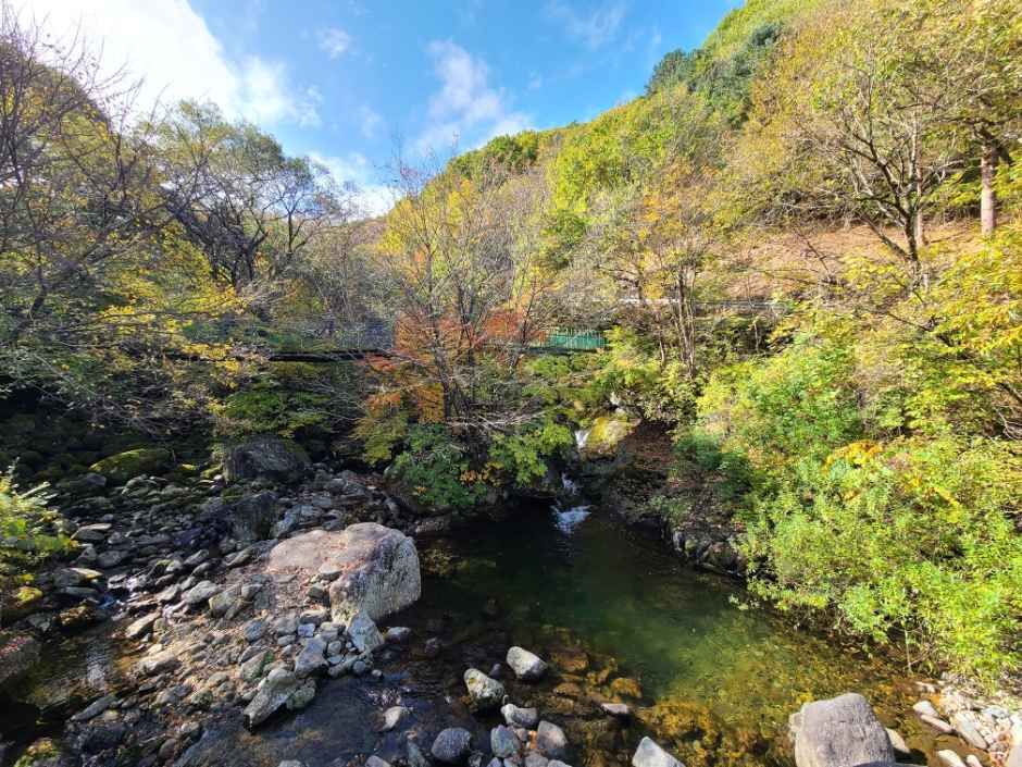 국립지리산자연휴양림
