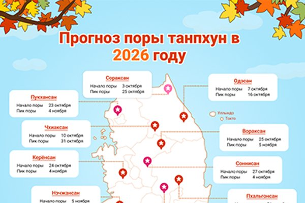 Прогноз поры танпхун в 2026 году