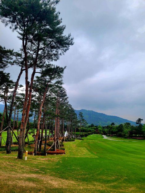 석정힐 CC 사진 5