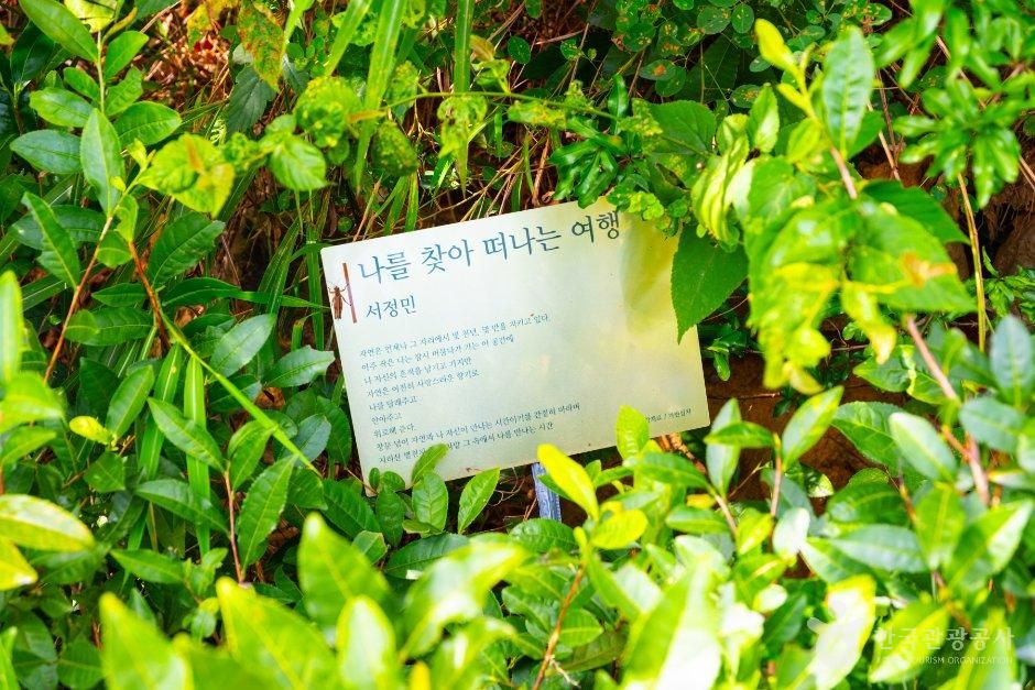따신골 녹차정원