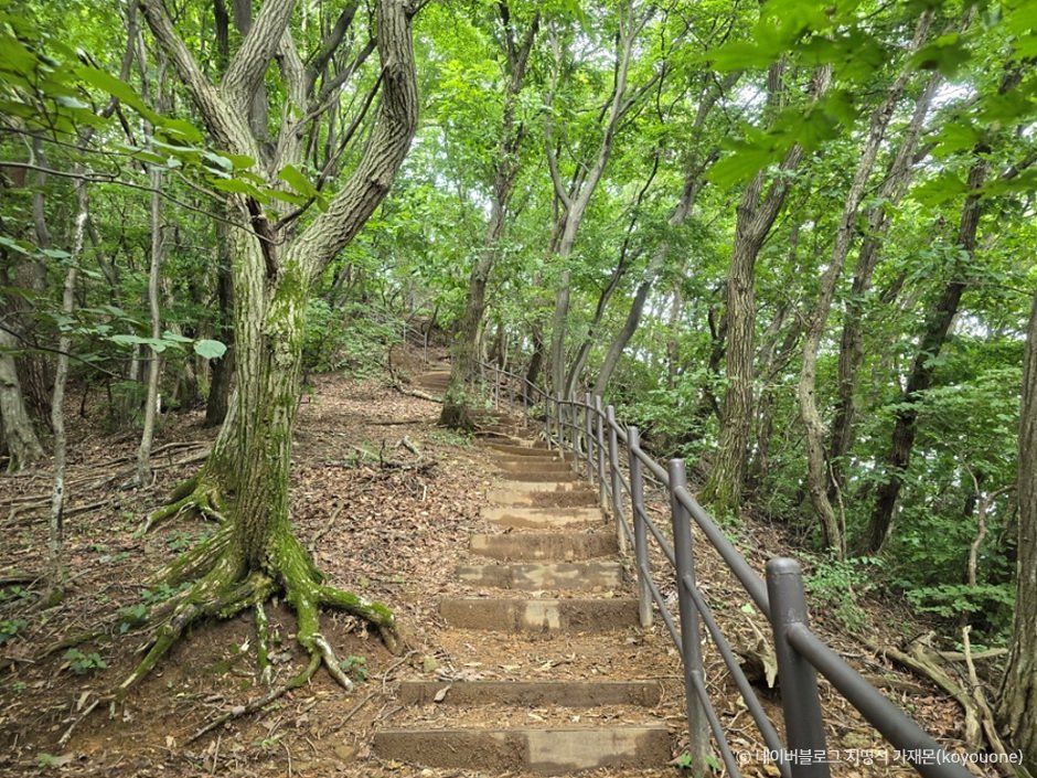 칠장산