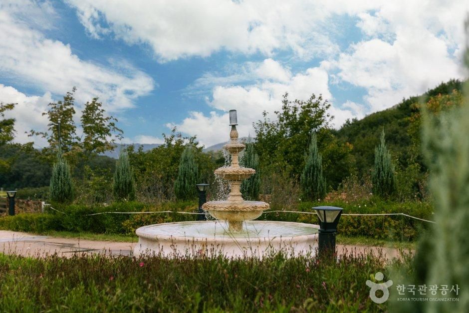용인자작나무숲