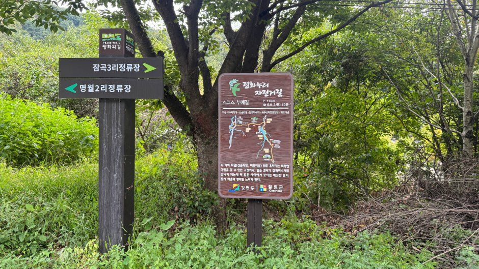 [강원평화누리자전거길 4코스] 철원 누에길
