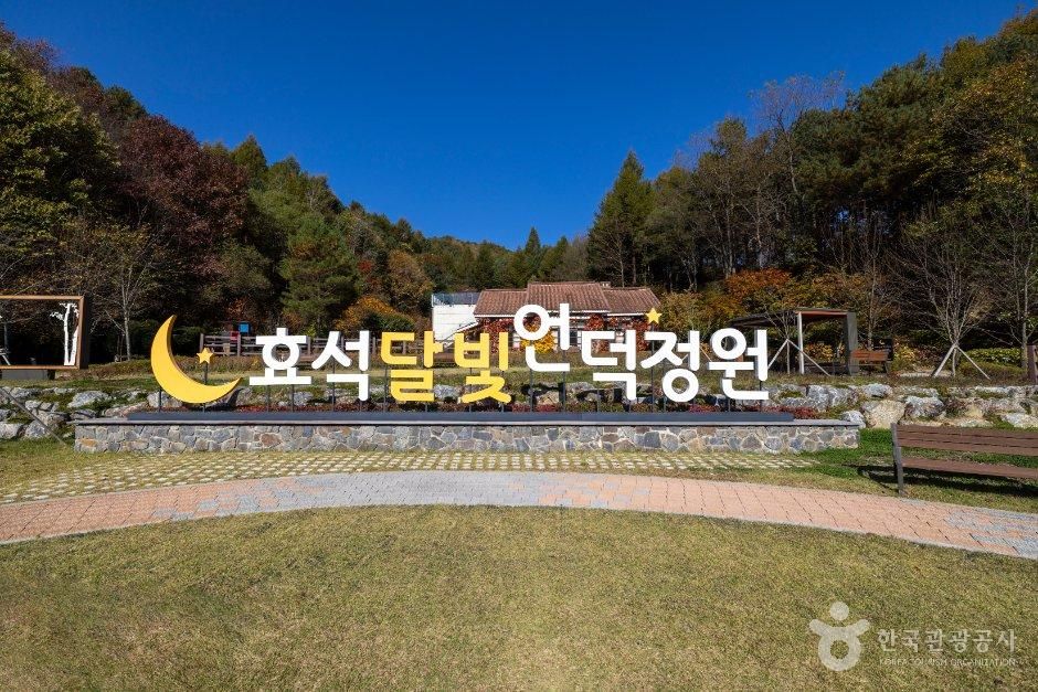 문학의 향기 따라 걷는 봉평 낭만 산책_강원_평창_효석 달빛언덕_1.jpg