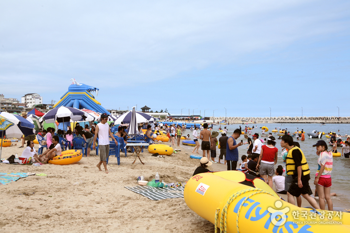 고래불해수욕장 고래불해수욕장