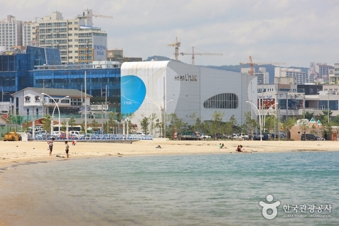 일산해수욕장(울산)