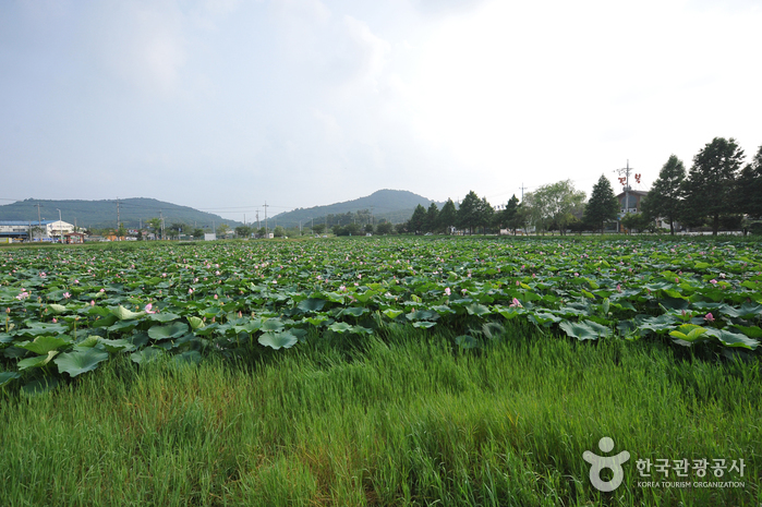 Jeonpyeongje Reservoir