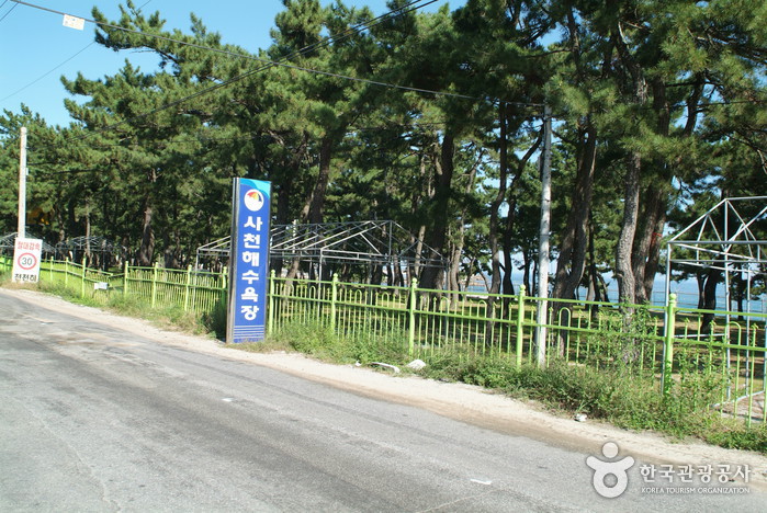 사천해변(사천해수욕장)