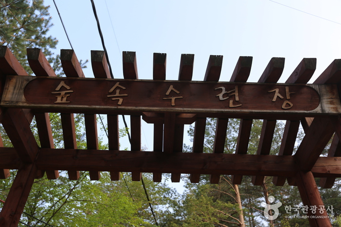 漁城田山林教育館