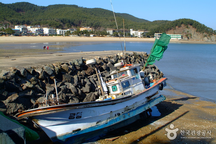 연포해수욕장 연포해수욕장