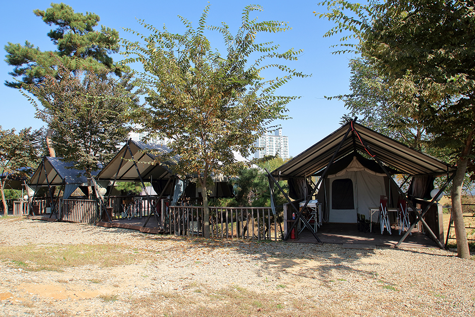 Pine Glamping