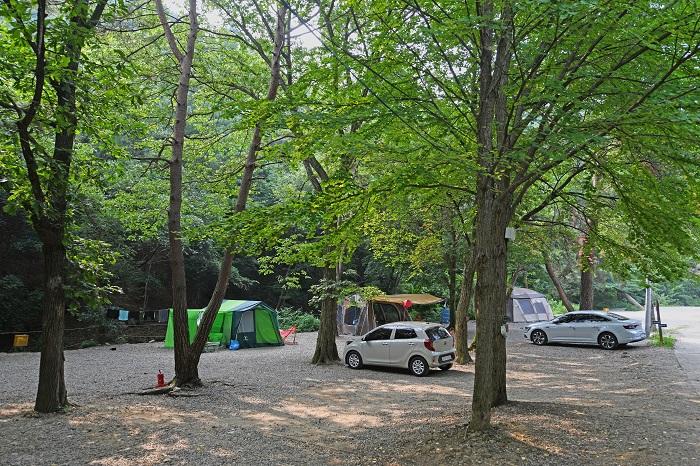 Eunigol family camping site