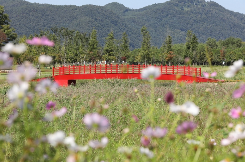 神秘の森で休息と冒険を一度に楽しむ一石二鳥のコース
