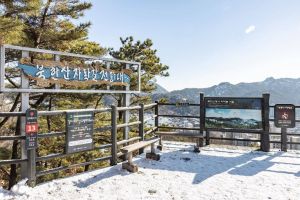 북한산 자락길 사진 8