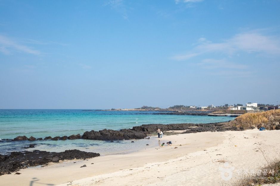 세화해수욕장