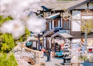 쇼죠마츠리 봄축제