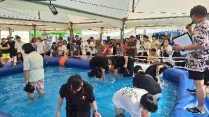 사천시 삼천포항 자연산 전어축제
