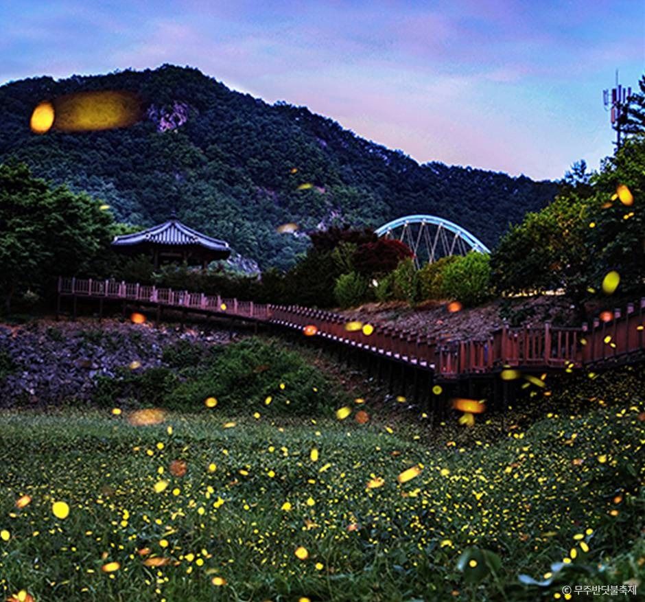 Muju Firefly Festival 